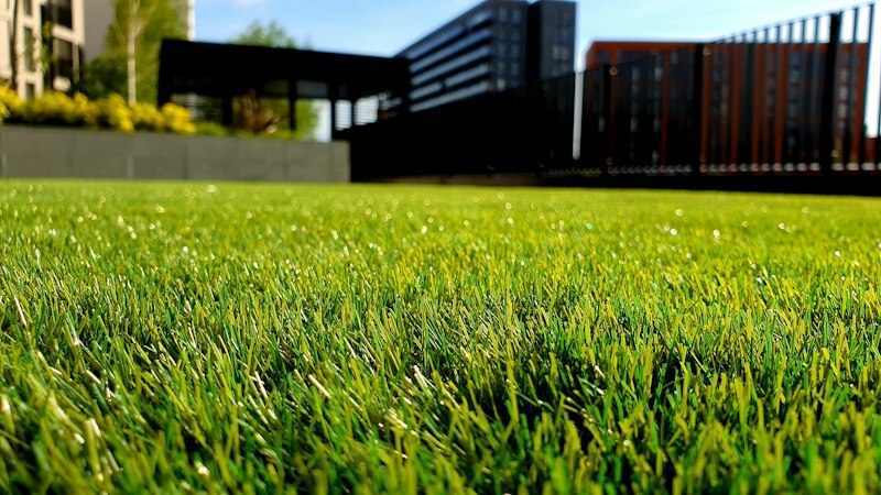 Freshly mown striped lawn showing tidy lawn care results in Christchurch